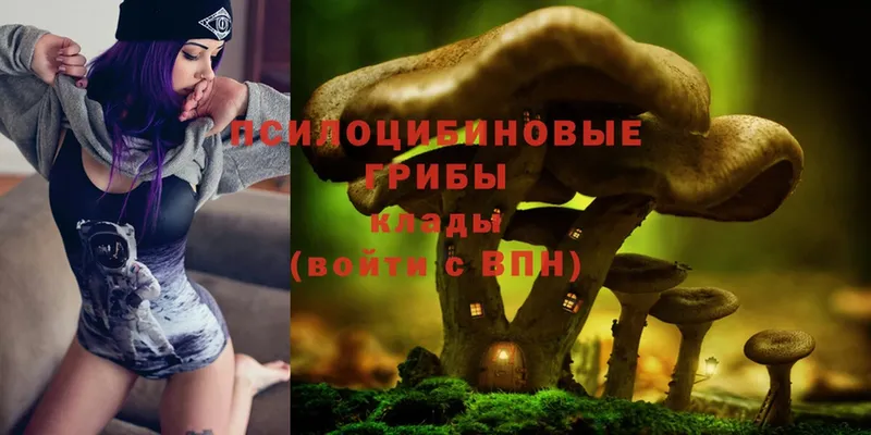 мориарти клад  Магадан  Галлюциногенные грибы MAGIC MUSHROOMS 